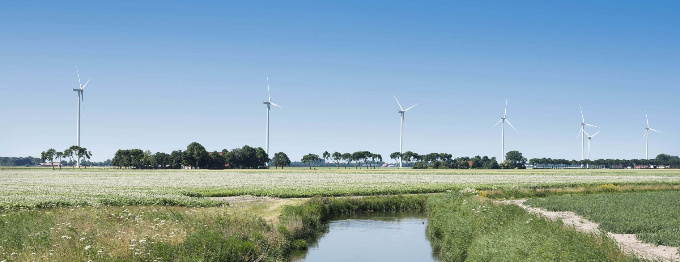 ASR acquires part of Princess Ariane wind farm