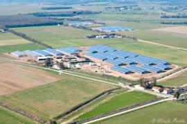 Eland Private Equity & Voltiq reach Financial Close on solar greenhouse portfolio
