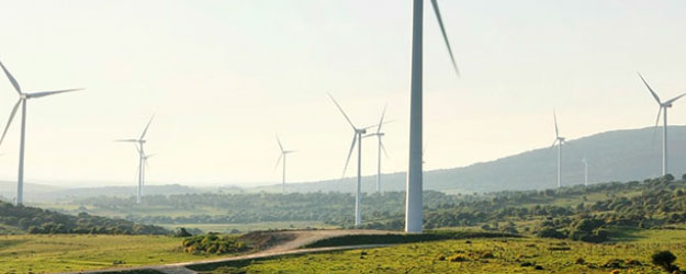 Wind portfolio Shandong